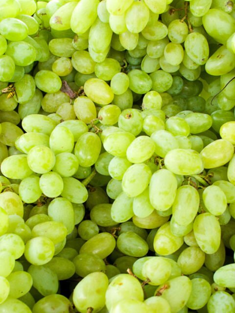 Grapes