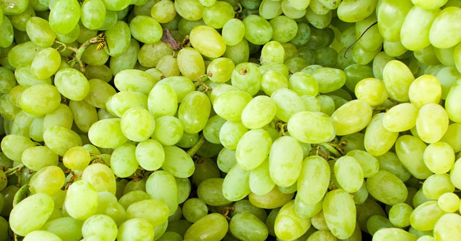 Grapes