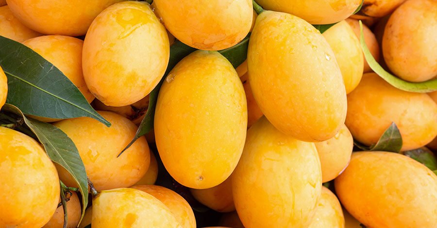 Mango