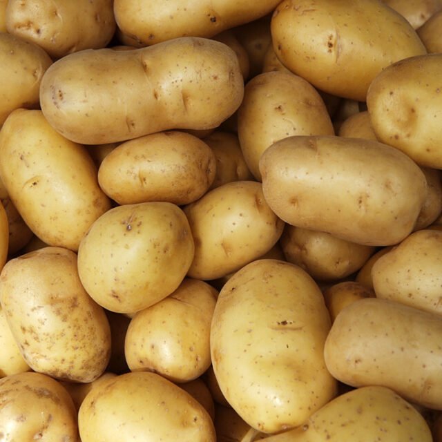 Potato